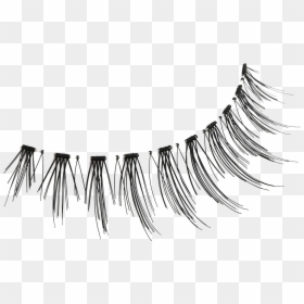 Detail Eyelashes Png For Photoshop Nomer 55