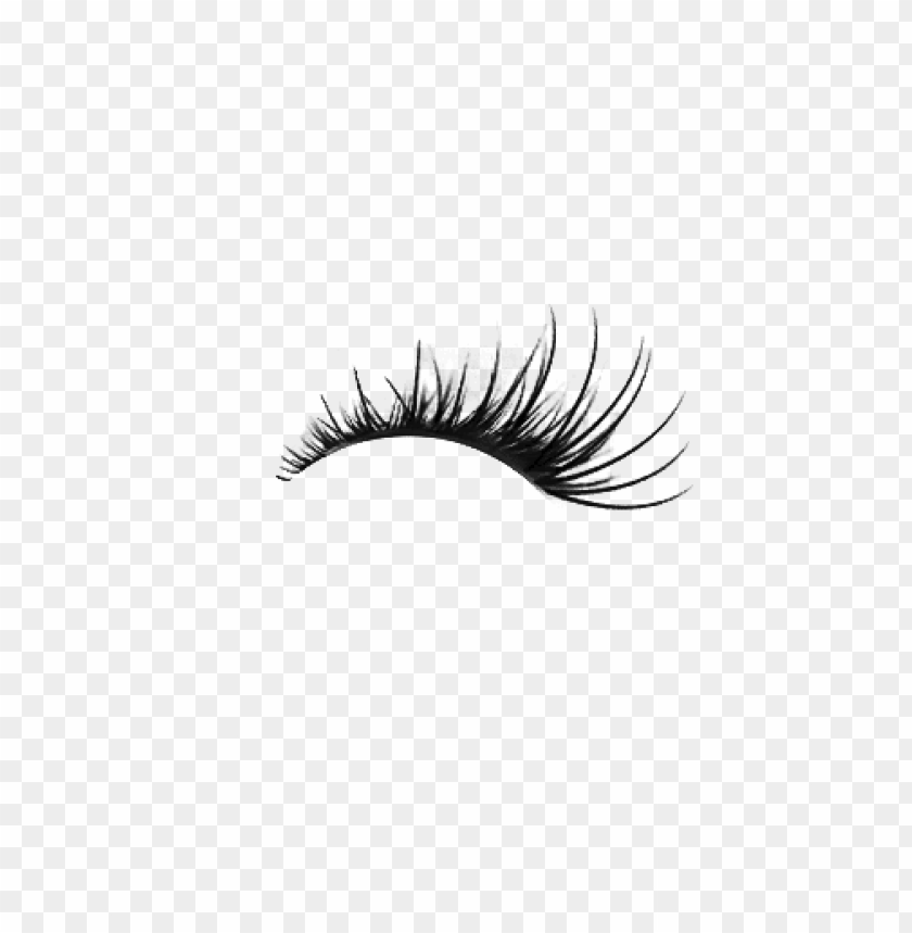 Detail Eyelashes Png Transparent Nomer 20