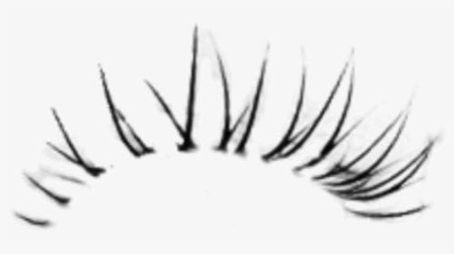 Detail Eyelashes Png Transparent Nomer 23