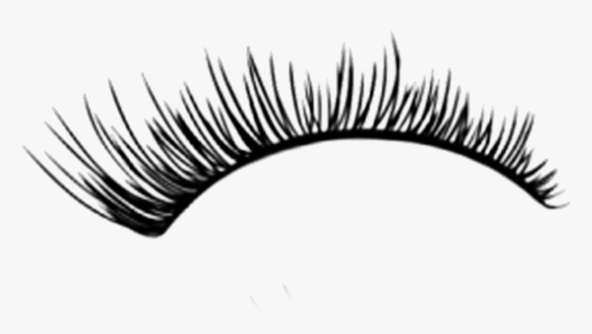 Detail Eyelashes Png Transparent Nomer 5