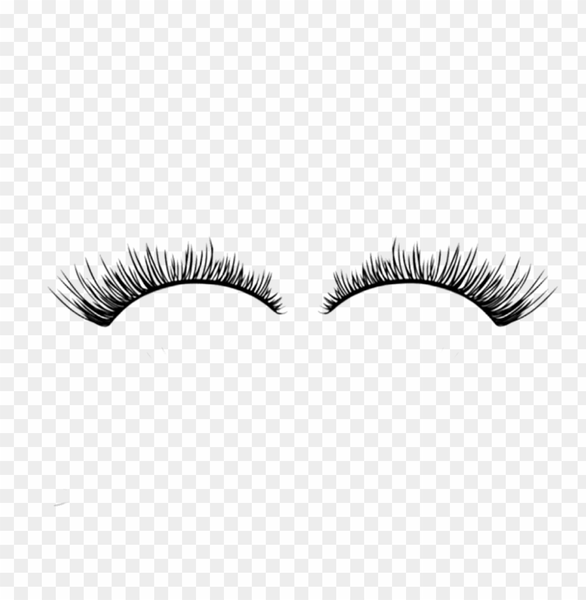 Detail Eyelashes Png Transparent Background Nomer 22