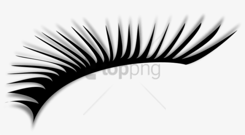 Detail Eyelashes Png Transparent Background Nomer 33