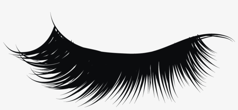 Detail Eyelashes Png Transparent Background Nomer 44