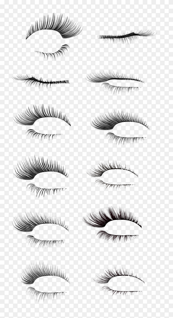 Detail Eyelashes Png Transparent Background Nomer 48