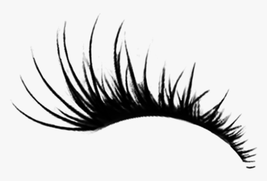 Detail Eyelashes Transparent Background Nomer 4