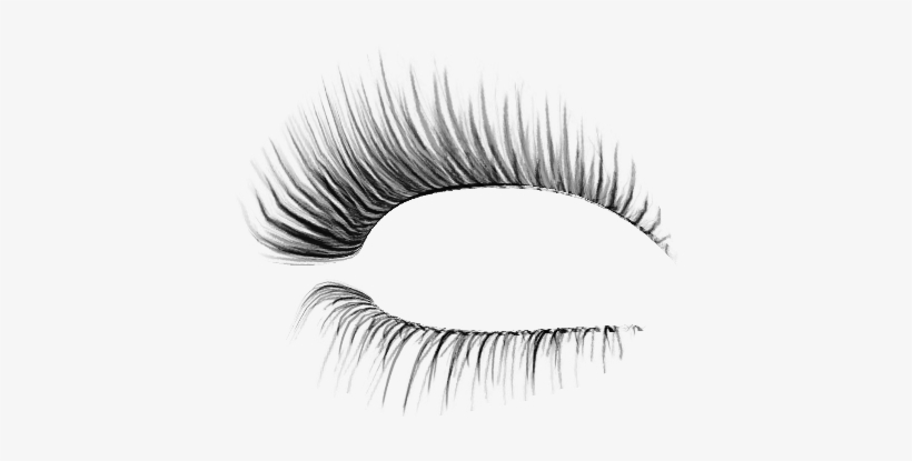 Detail Eyelashes Transparent Background Nomer 7