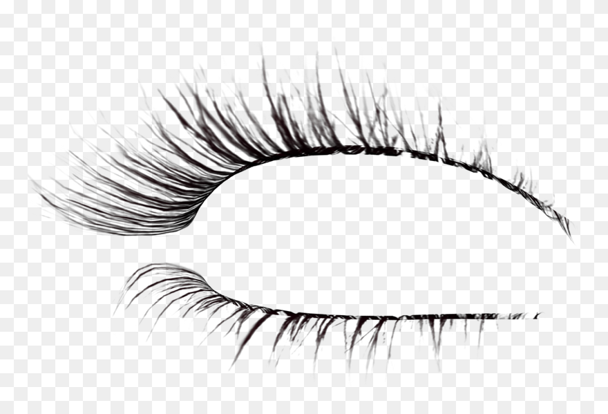 Detail Eyelashes Transparent Png Nomer 12