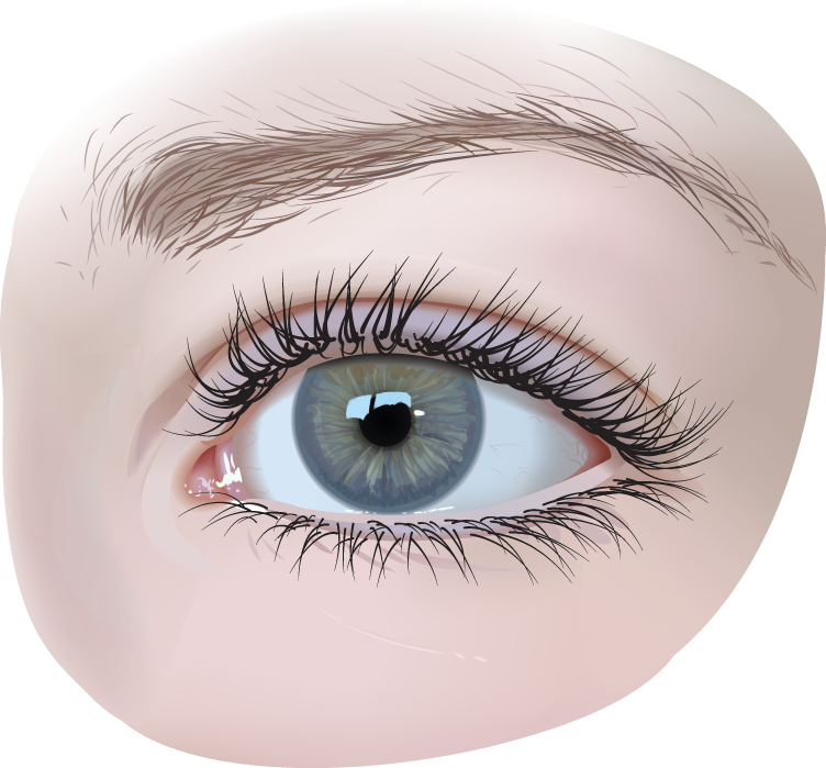 Detail Eyes Download Nomer 17