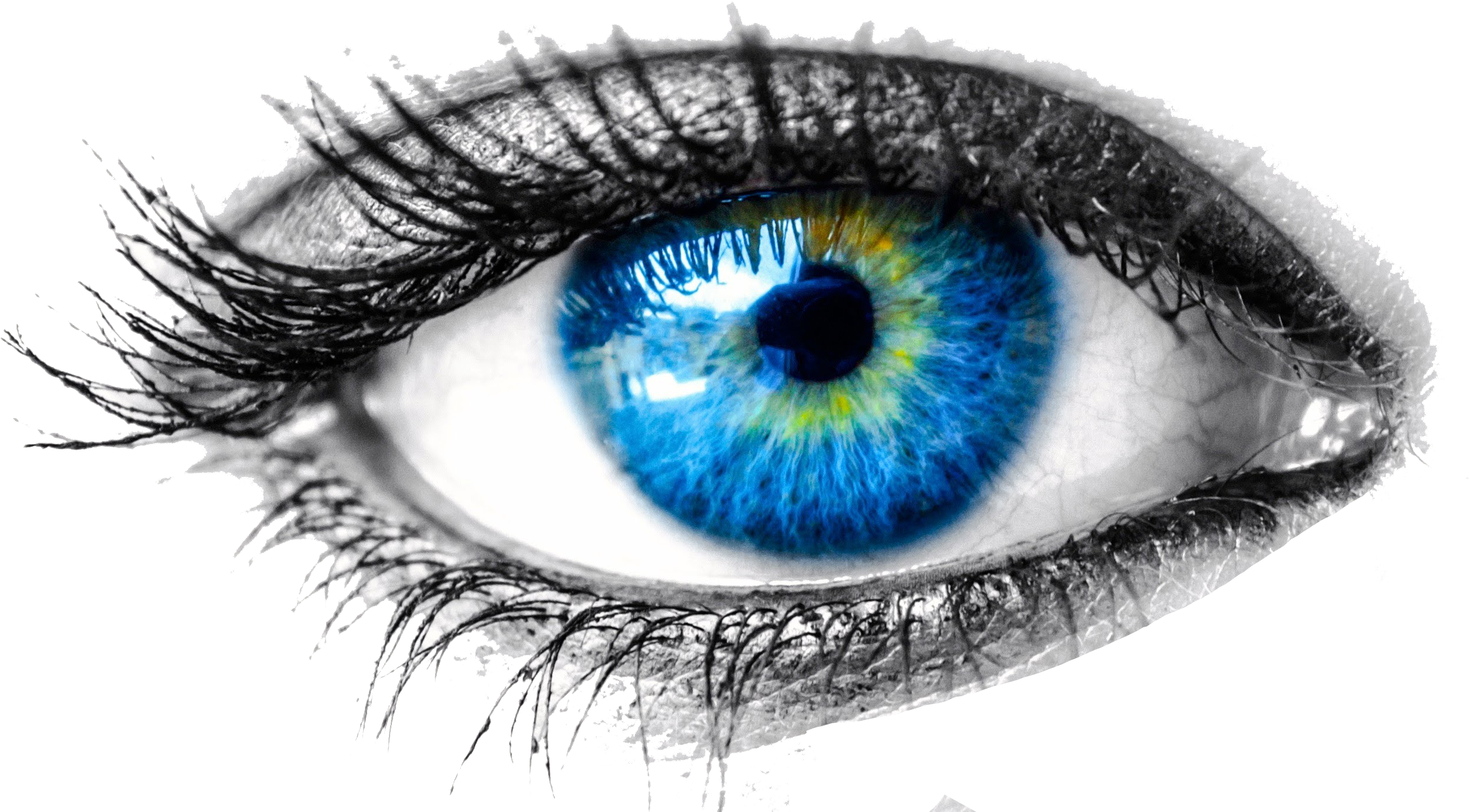 Detail Eyes Download Nomer 20