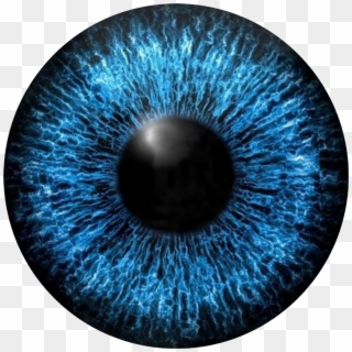 Detail Eyes Download Nomer 22