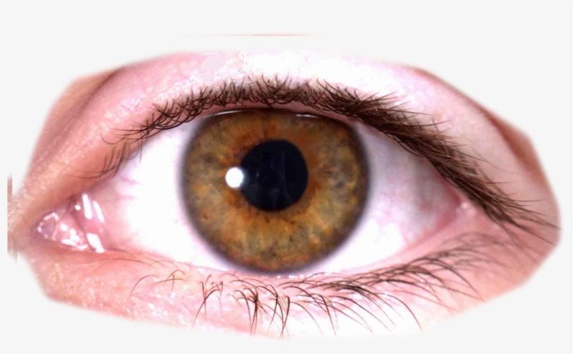 Detail Eyes Download Nomer 32