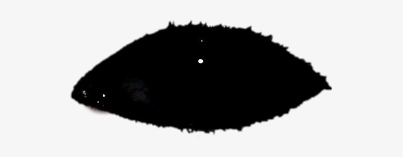 Detail Eyes Download Nomer 52
