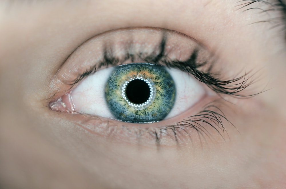 Detail Eyes Download Nomer 10