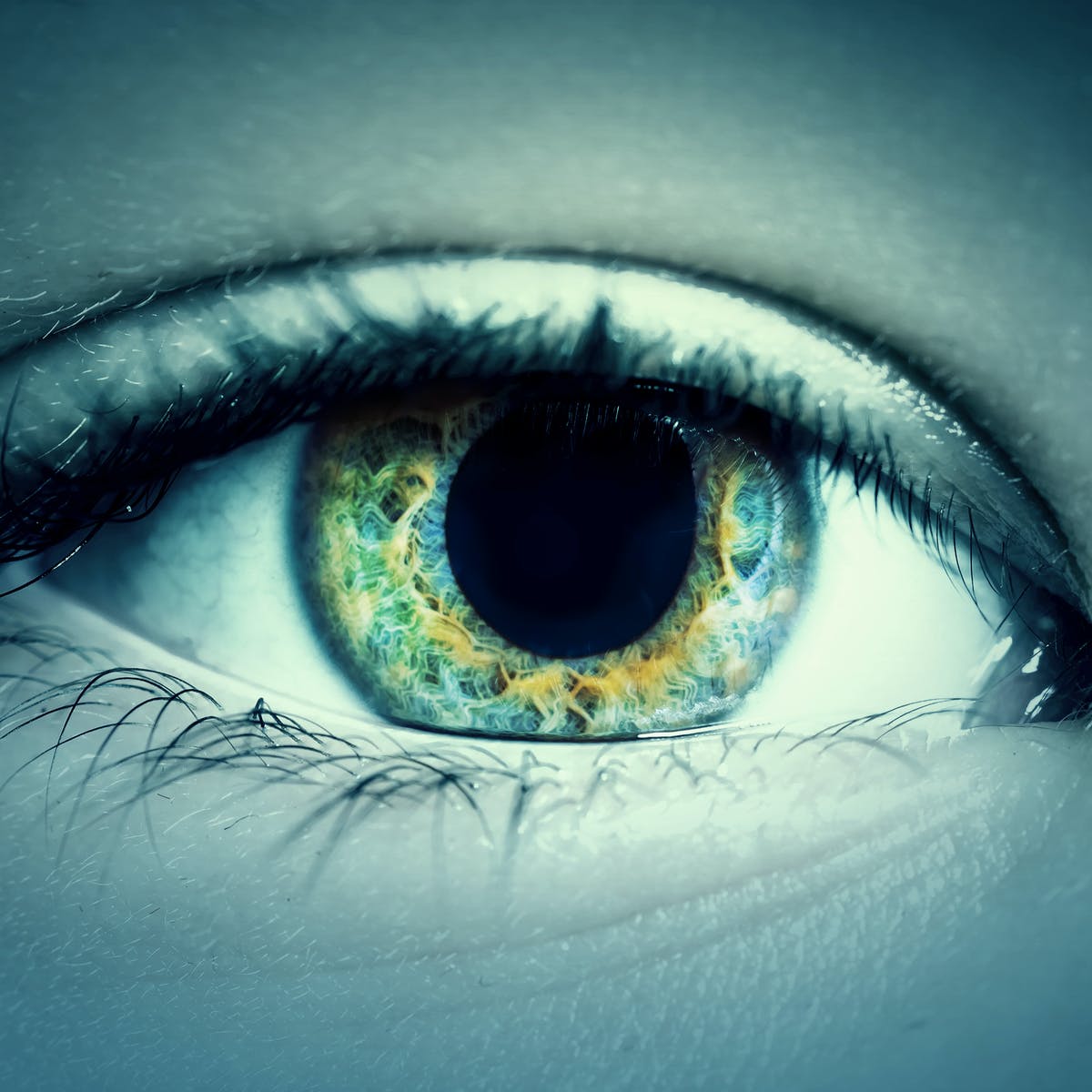 Detail Eyes Image Nomer 15