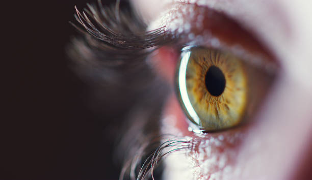 Detail Eyes Image Nomer 16