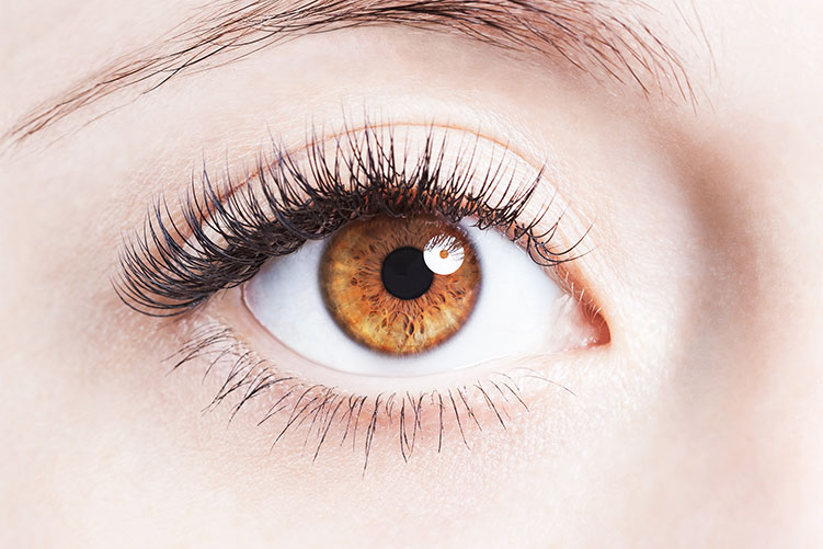 Detail Eyes Image Nomer 32