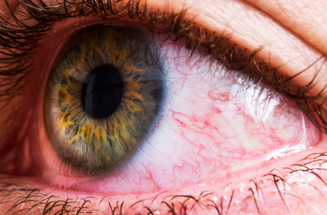 Detail Eyes Image Nomer 37