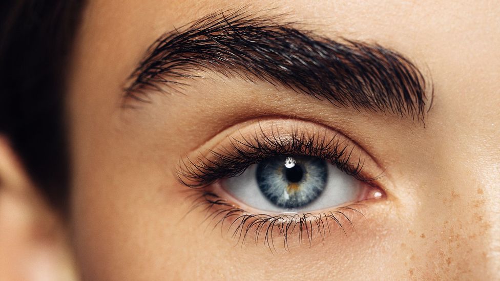 Detail Eyes Image Nomer 40
