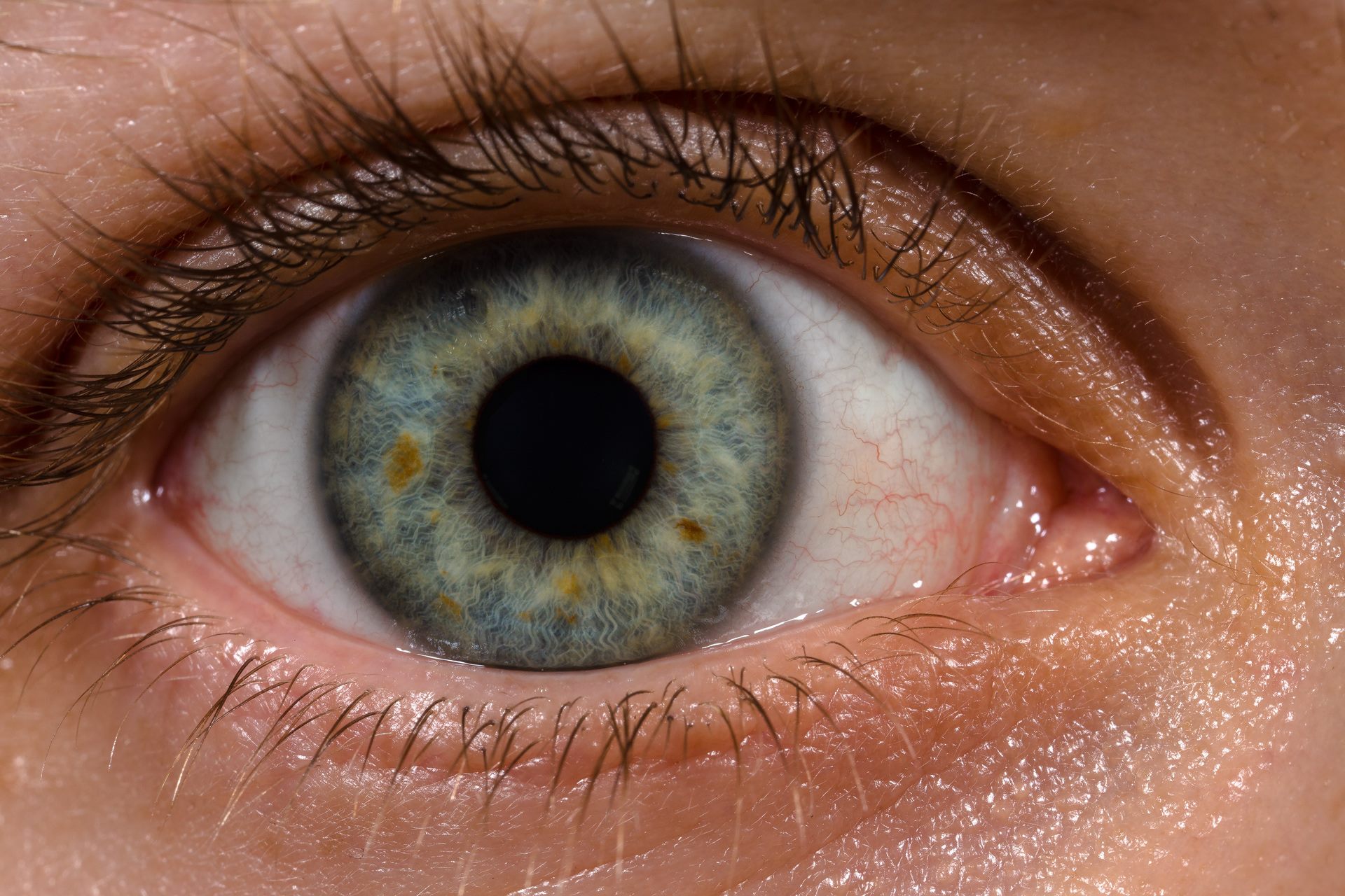 Detail Eyes Image Nomer 6