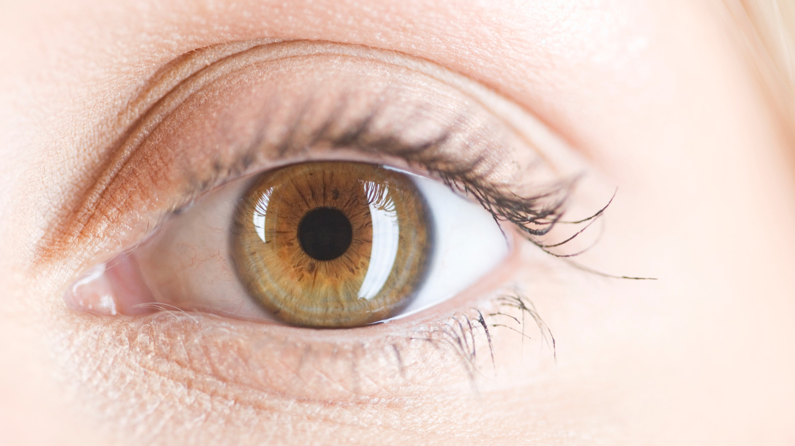 Detail Eyes Image Nomer 51