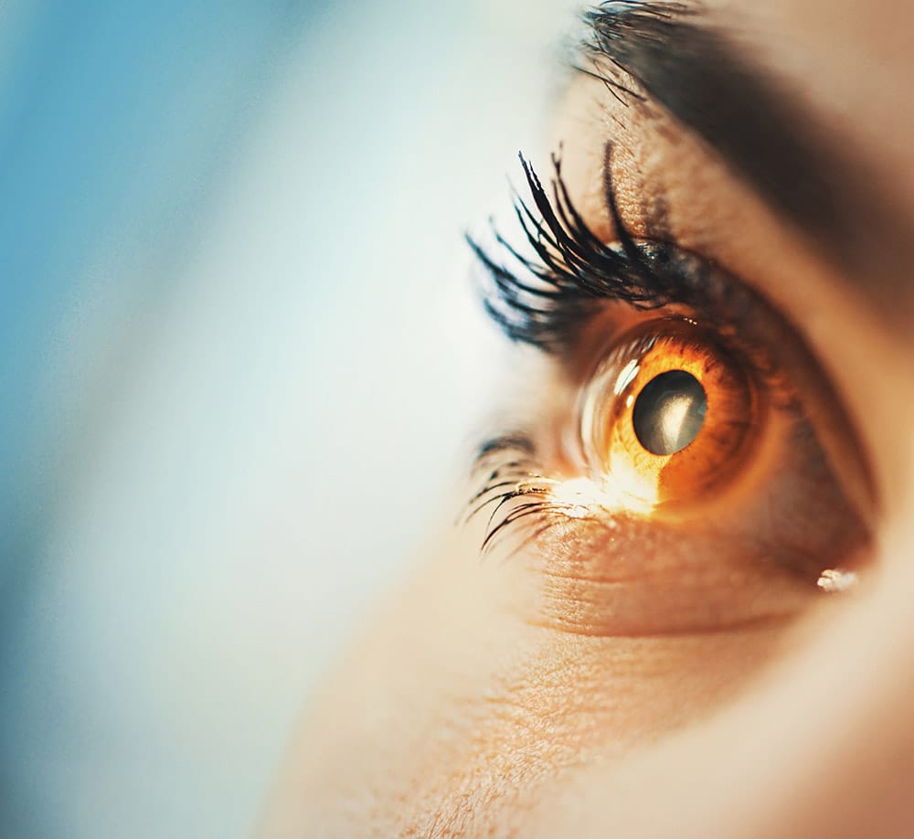 Detail Eyes Image Nomer 10