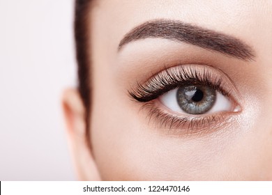 Detail Eyes Stock Photo Nomer 11