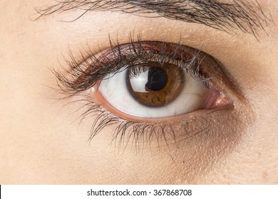 Detail Eyes Stock Photo Nomer 21