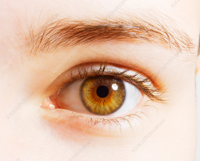 Detail Eyes Stock Photo Nomer 25