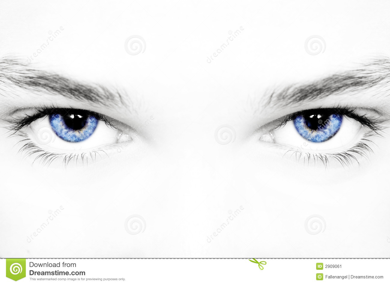 Detail Eyes Stock Photo Nomer 29