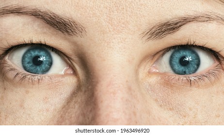 Detail Eyes Stock Photo Nomer 33