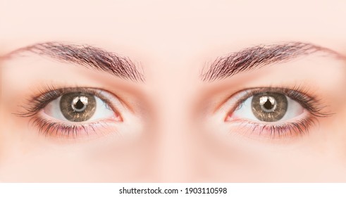 Detail Eyes Stock Photo Nomer 45