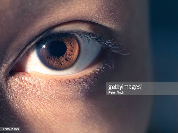 Detail Eyes Stock Photo Nomer 47