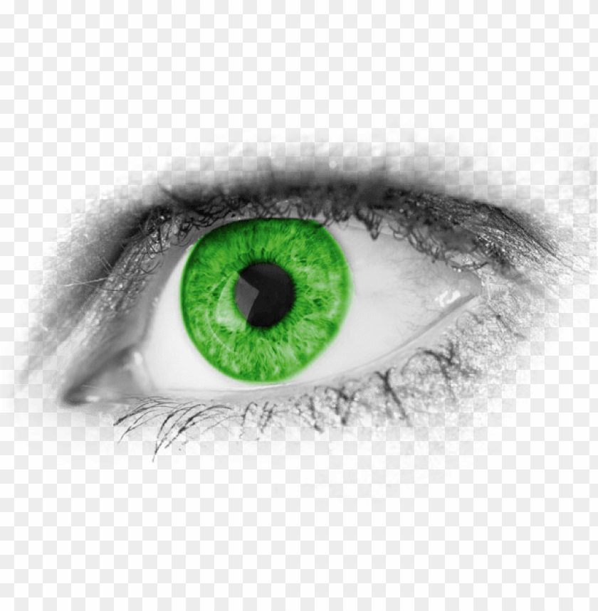 Detail Eyes Transparent Background Nomer 44