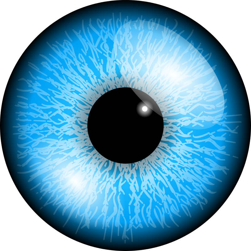 Detail Eyes Transparent Png Nomer 17