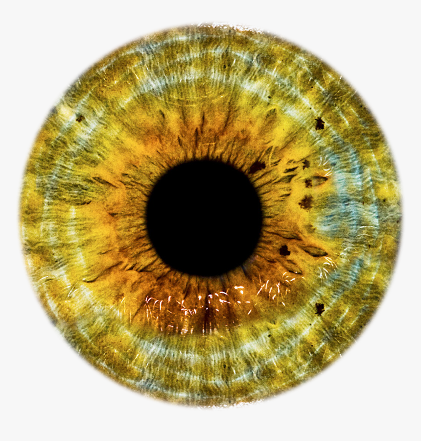 Detail Eyes Transparent Png Nomer 38