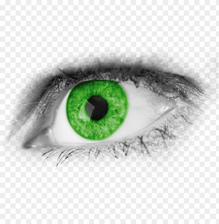 Detail Eyes With Transparent Background Nomer 46