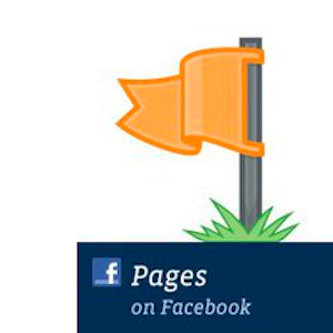 Detail Facebook Fanpage Logo Png Nomer 26