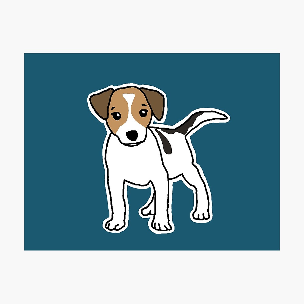 Detail Jack Russell Terrier Zeichnen Nomer 16