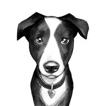 Detail Jack Russell Terrier Zeichnen Nomer 2