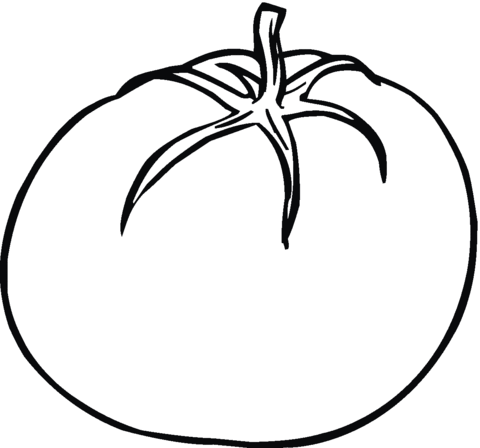 Detail Tomate Zeichnen Nomer 13