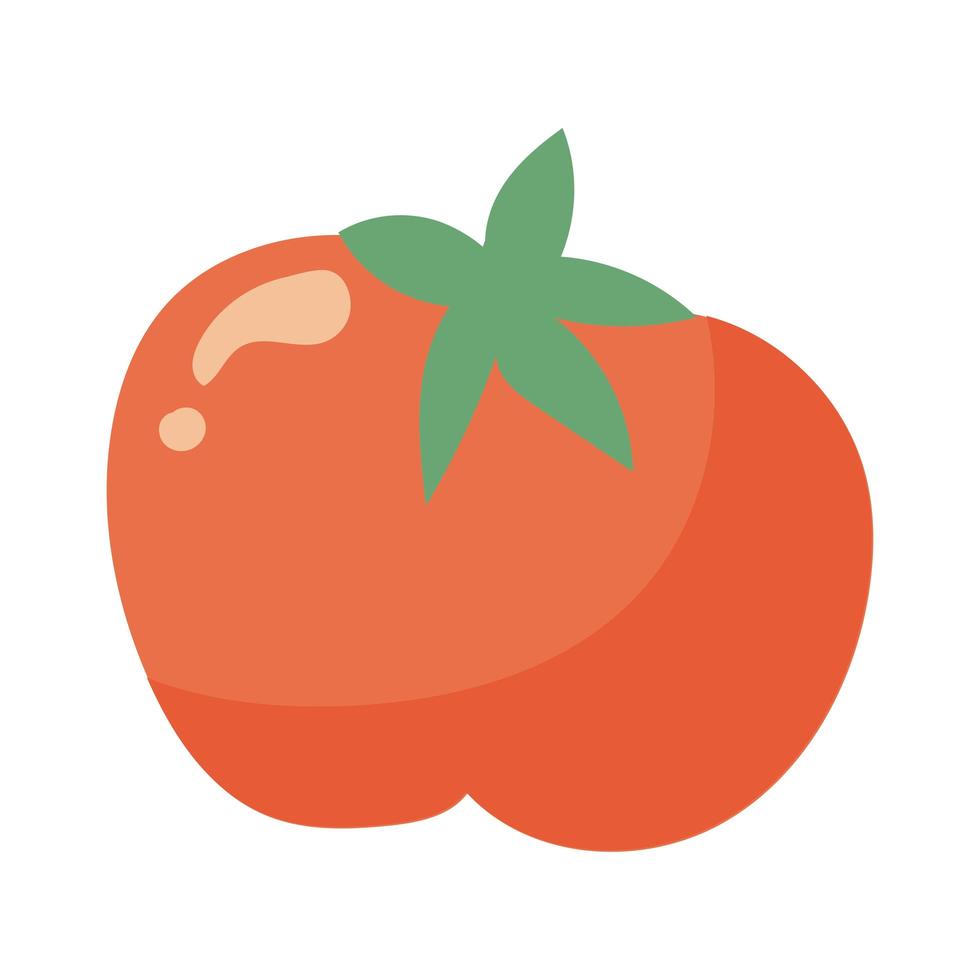 Detail Tomate Zeichnen Nomer 4