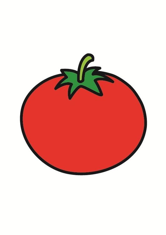 Detail Tomate Zeichnen Nomer 7