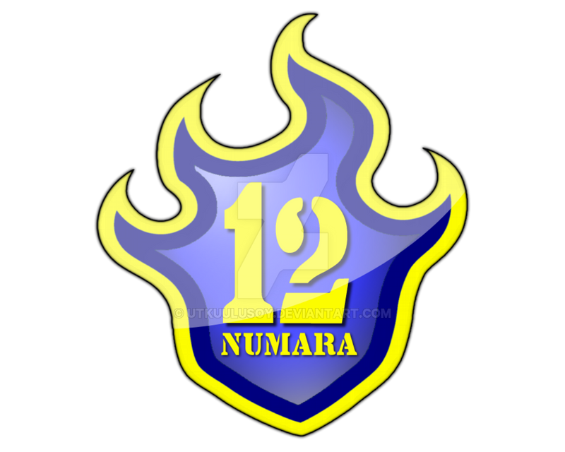 Detail 12 Numara Nomer 5