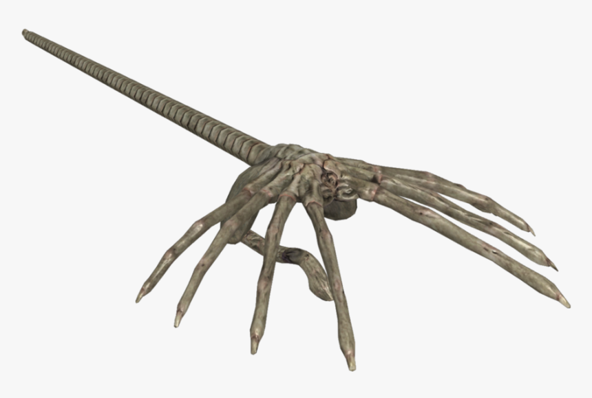 Detail Facehugger Png Nomer 11