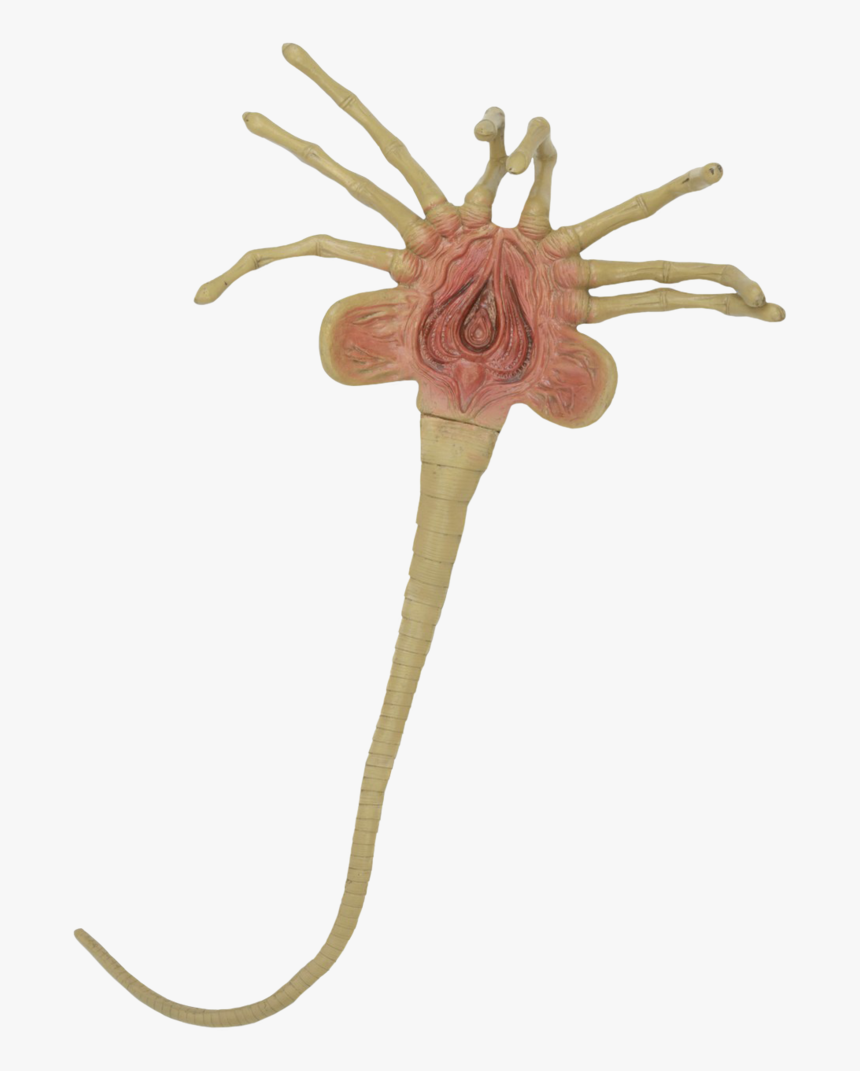 Detail Facehugger Png Nomer 3