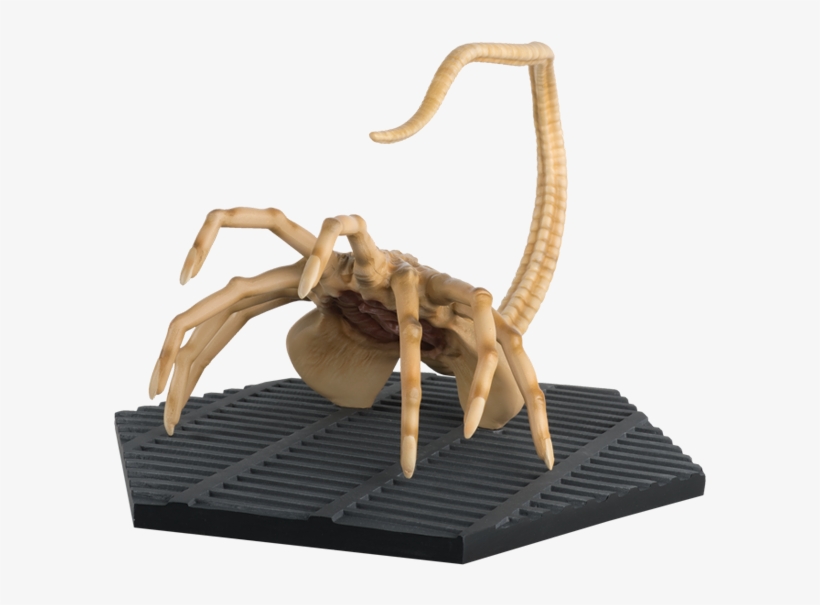 Detail Facehugger Png Nomer 23