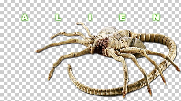 Detail Facehugger Png Nomer 27