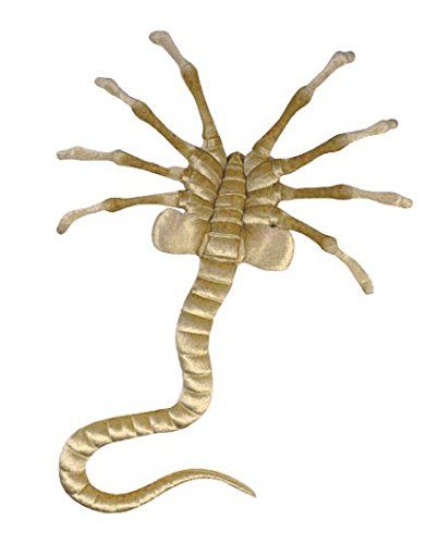 Detail Facehugger Png Nomer 5