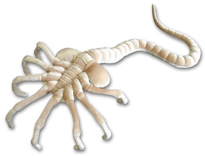 Detail Facehugger Png Nomer 45