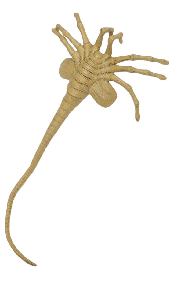 Detail Facehugger Png Nomer 8